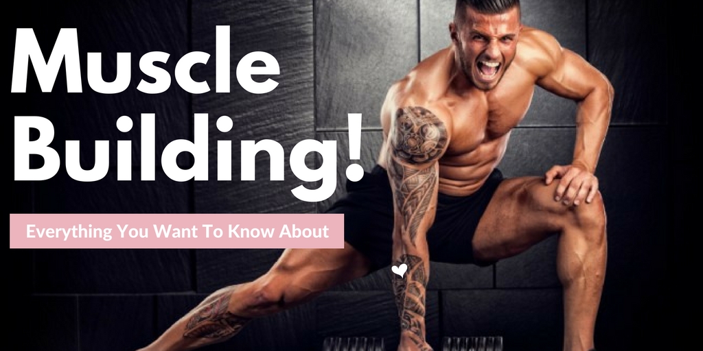 Everything You Want To Know About Muscle Building