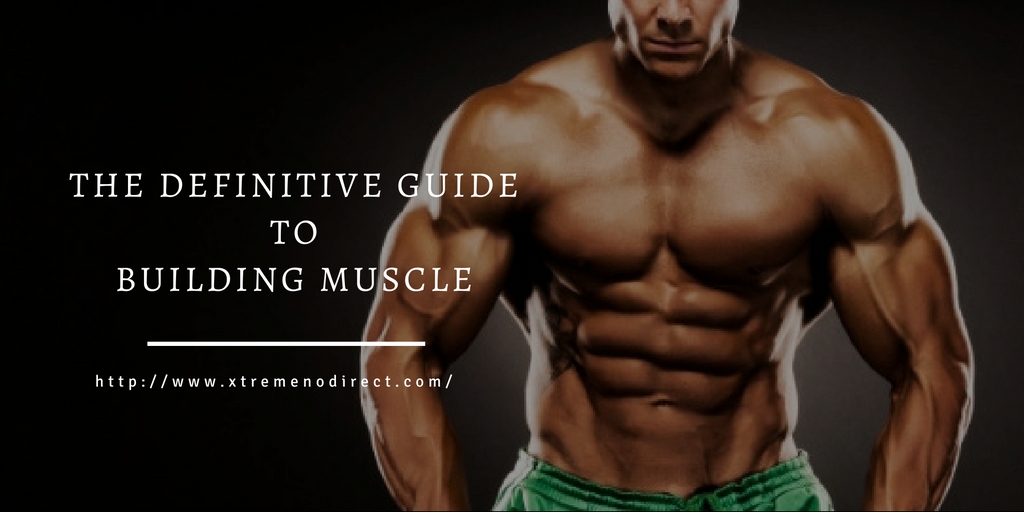 The Definitive Guide To Building Muscle