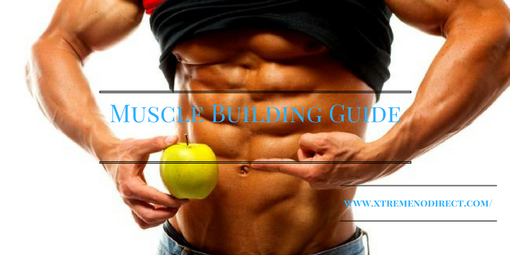 muscle-building-guide