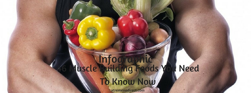 Muscle Building Foods