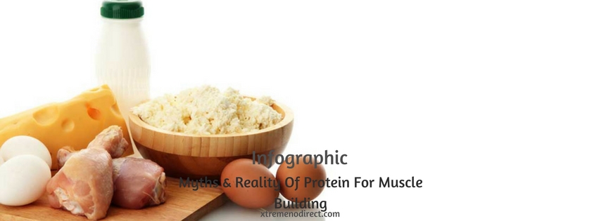 Protein For Muscle Building