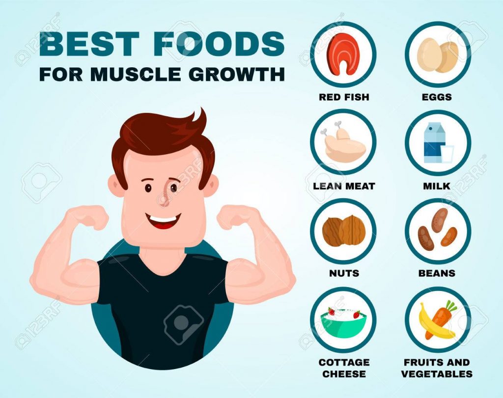 Best foods for muscle growth 