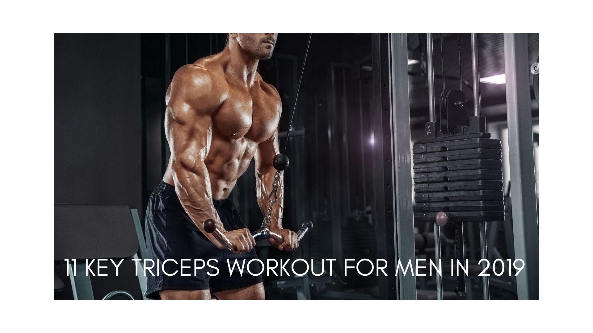 Best triceps workout