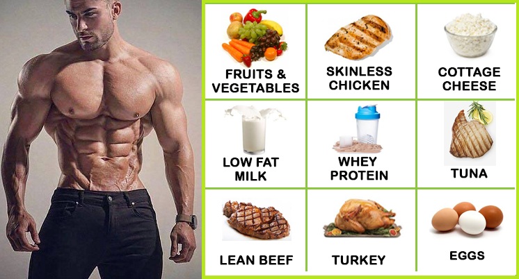 What Meal Plan Every Guy Must Follow Xtremenodirect Com